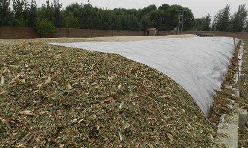 關(guān)注丨珠穆朗瑪峰成了一座“垃圾峰”？